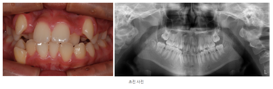 호평치과