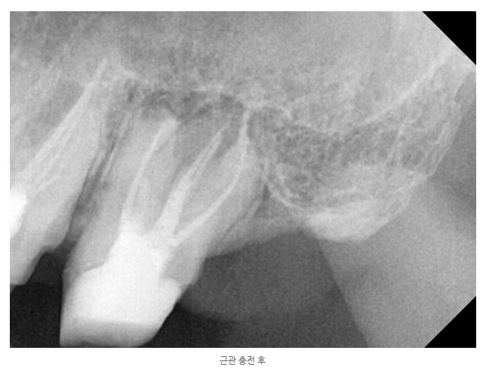 호평동치과