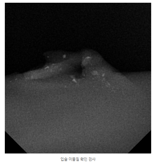 호평동치과